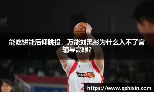 能吃饼能后仰跳投，万能刘禹彤为什么入不了宫辅导高眼？